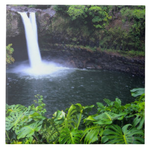 Hawaii, Big Island, Hilo, Rainbow Falls, Frodig Kakelplatta