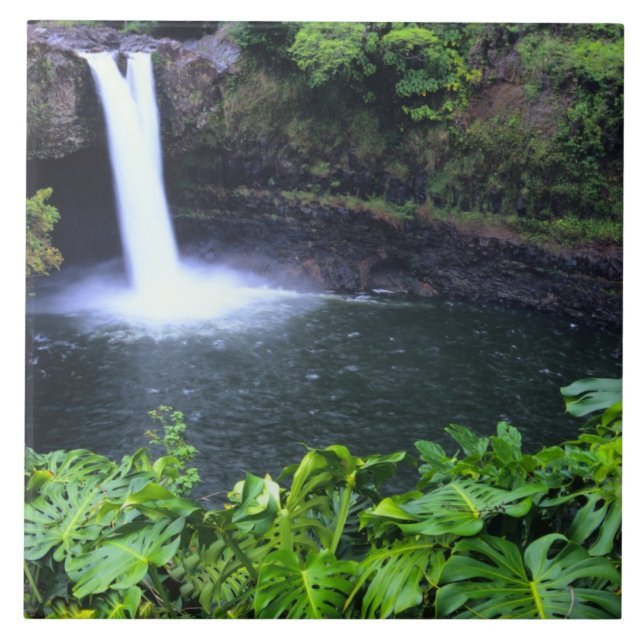 Hawaii, Big Island, Hilo, Rainbow Falls, Frodig Kakelplatta (Framsidan)