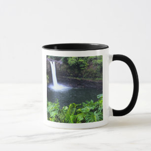 Hawaii, Big Island, Hilo, Rainbow Falls, Frodigt Mugg