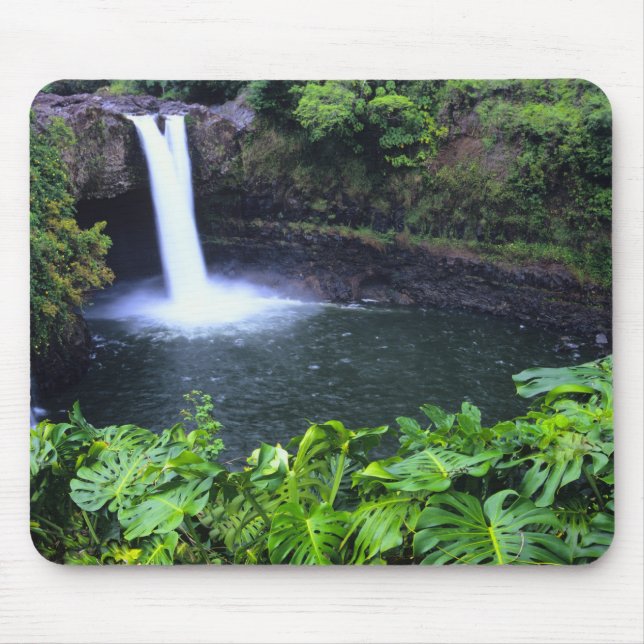 Hawaii, Big Island, Hilo, Rainbow Falls, Frodigt Musmatta (Framsidan)