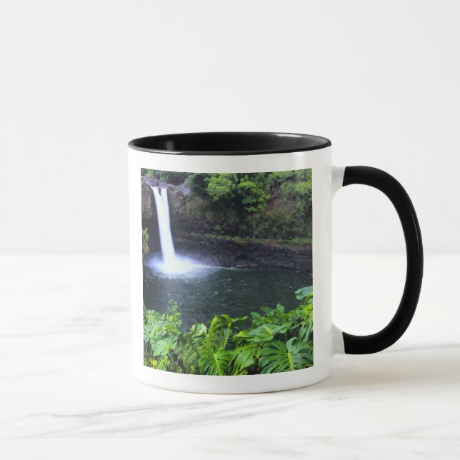 Hawaii, Big Island, Hilo, Rainbow Falls, Lush Mugg (Höger)