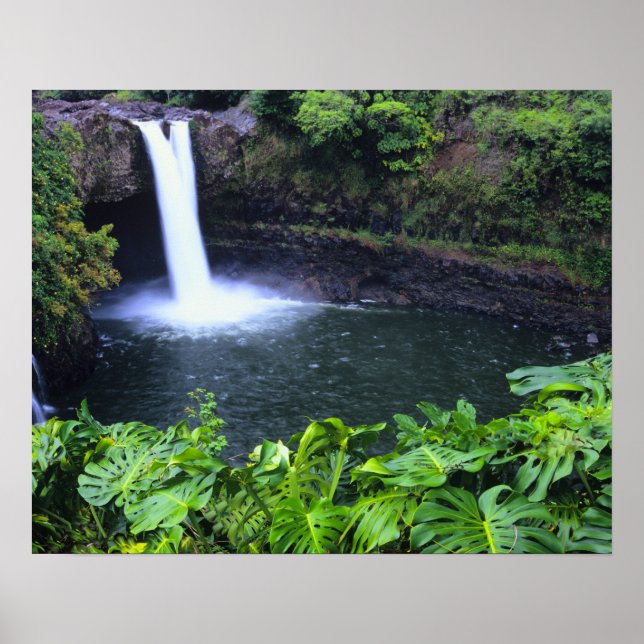 Hawaii, Big Island, Hilo, Rainbow Falls, Lush Poster (Framsidan)