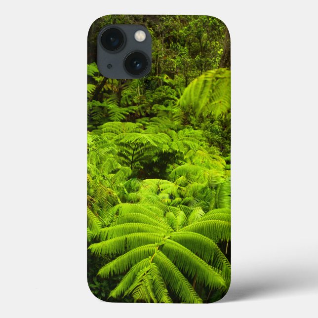 Hawaii, Big Island, Lush tropisk grey i (Baksida)
