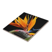 Hawaii Bird of Paradise Plant Flower