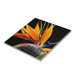 Hawaii Bird of Paradise Plant Flower Kakelplatta
