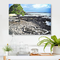 Hawaii Black Sand Beach & Coral "Kärlek" Heart Pho