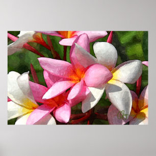 Hawaii blommor poster