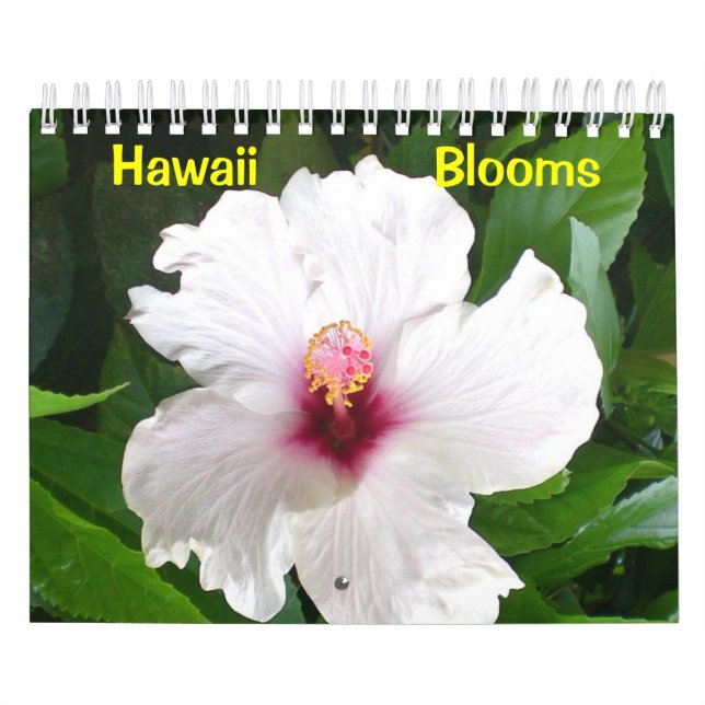 Hawaii Bloom Kalender (Omslag)