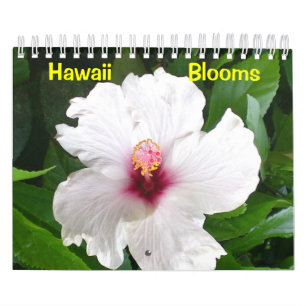 Hawaii Bloom Kalender