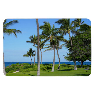 Hawaii Coastal View Photo Magnet