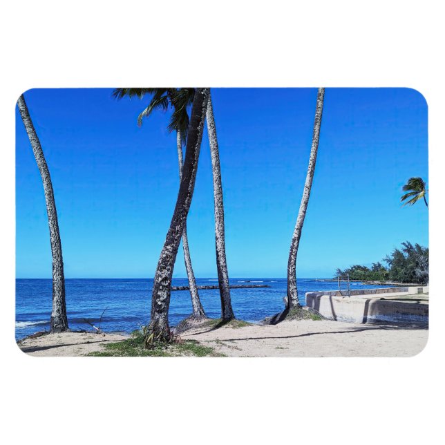Hawaii Coastal View Photo Magnet (Horisontell)