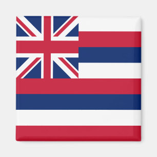 Hawaii delstatsflagga magnet