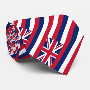 Hawaii delstatsflagga slips
