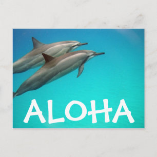 Hawaii Dolfiner Vykort