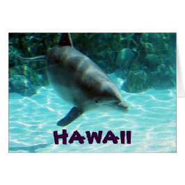 Hawaii Dolphin Hälsningskort