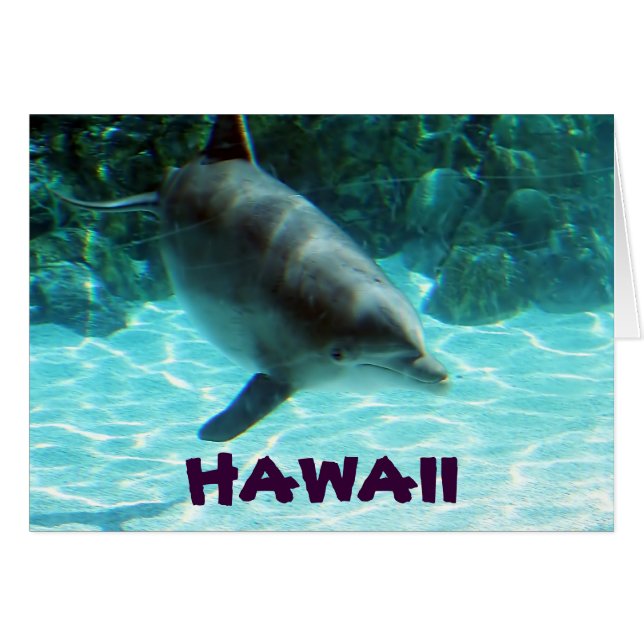 Hawaii Dolphin Hälsningskort (Framsidan Horizontal)