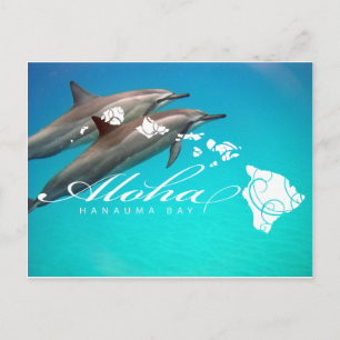 Hawaii Dolphins och Hawaii Islands Vykort