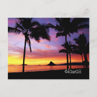 Hawaii Dream Postcard Vykort