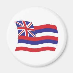 Hawaii Flagga Magnet
