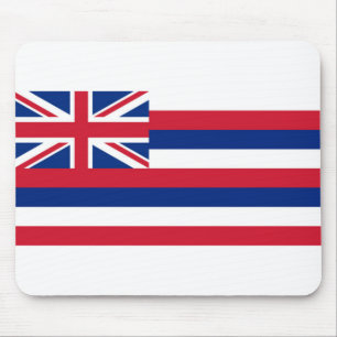 Hawaii flagga musmatta