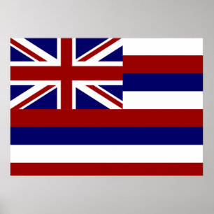 Hawaii flagga poster