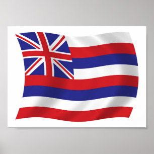 Hawaii Flagga Poster Skriv ut