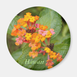 Hawaii Flower Magnet