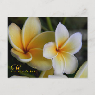 Hawaii Flowers Vykort