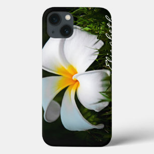 Hawaii för vitPlumeriaFrangipani blomma