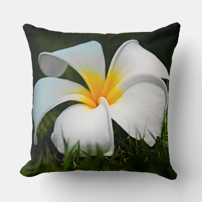 Hawaii för vitPlumeriaFrangipani blomma Kudde (Framsida)