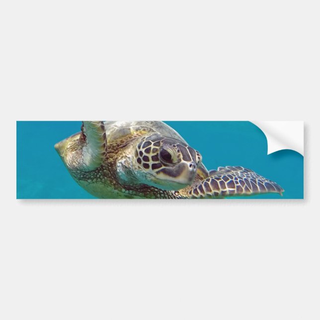 Hawaii grön havssköldpadda - Honu Bildekal (Framsidan)