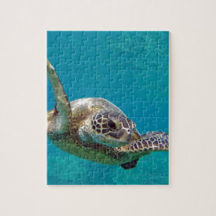 Hawaii grön havssköldpadda - Honu Pussel