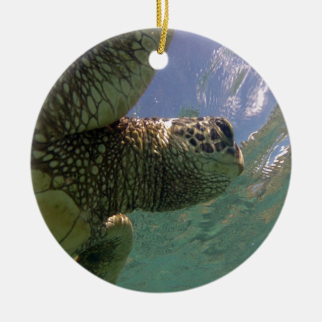 Hawaii grön havssköldpadda julgransprydnad keramik (Framsidan)