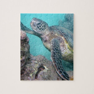 Hawaii grön havssköldpadda pussel