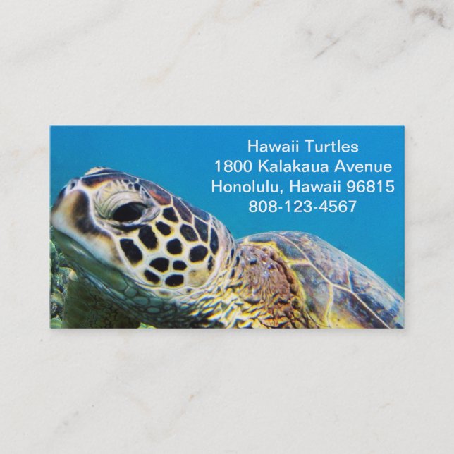 Hawaii grön havssköldpadda visitkort (Framsida)
