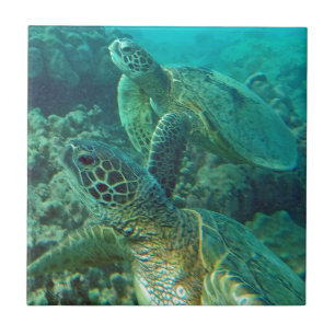 Hawaii gröna havssköldpaddor kakelplatta