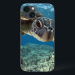 Hawaii Grönt Sea Turtle<br><div class="desc">En hawaiisk grönhavssköldpadda utreder hans reflektion i min kuppsport. © och ® Bigstock® - Med förbehåll för alla Höger.</div>