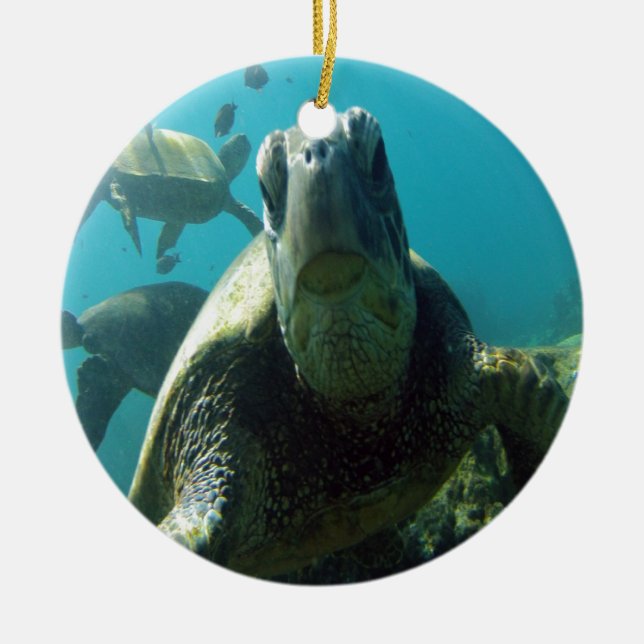 Hawaii Grönt Sea Turtle Julgransprydnad Keramik (Framsidan)