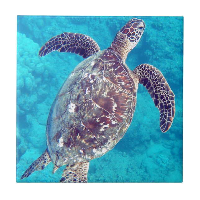 Hawaii Grönt Sea Turtle Kakelplatta (Framsidan)