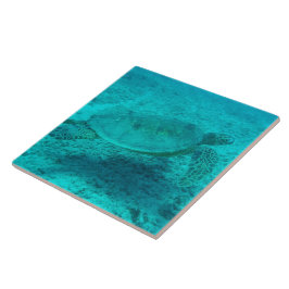 Hawaii Grönt Sea Turtle Kakelplatta