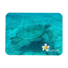 Hawaii Grönt Sea Turtle Magnet