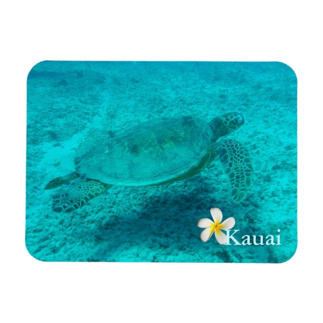 Hawaii Grönt Sea Turtle Magnet (Horisontell)