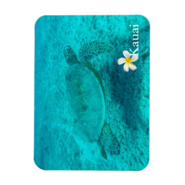 Hawaii Grönt Sea Turtle Magnet