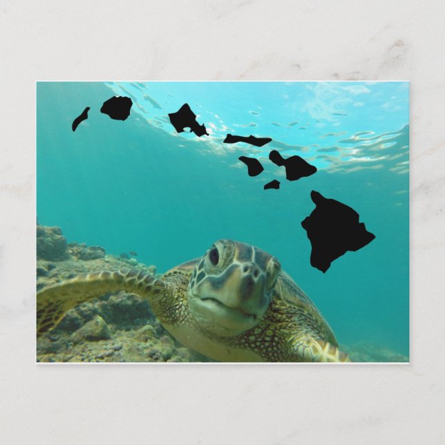 Hawaii Grönt Sea Turtle Vykort (Framsida)