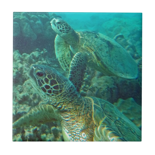 Hawaii Grönt Sea Turtles Kakelplatta (Framsidan)