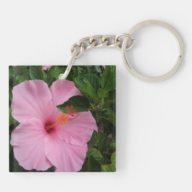 Hawaii Hanauma Bay Hibiscus Flowers (Baksidan)