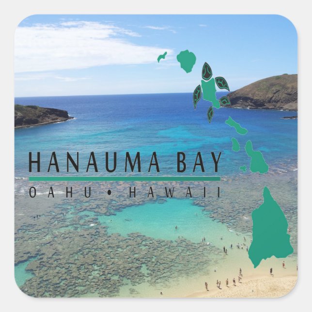 Hawaii Hanauma Bay Oahu Turtle Fyrkantigt Klistermärke (Framsida)