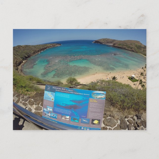 Hawaii Hanauma Bay Volcano Vykort (Framsida)