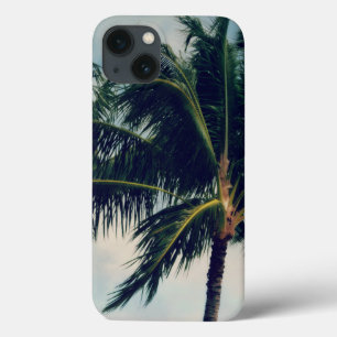Hawaii Handflatan Träd