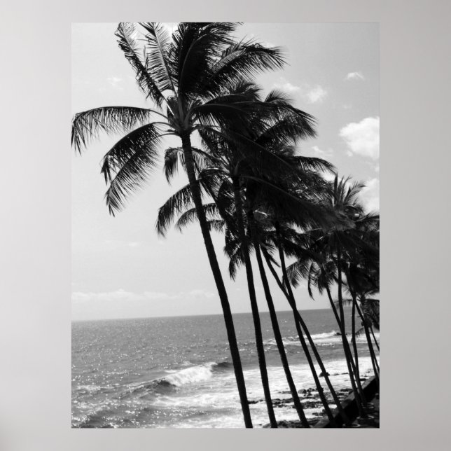 Hawaii Handflatan Träd Poster (Framsidan)